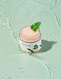 ROUND LAB УСПОКАИВАЮЩИЙ КРЕМ С ЭКСТРАКТОМ ПОЛЫНИ MUGWORT CALMING CREAM